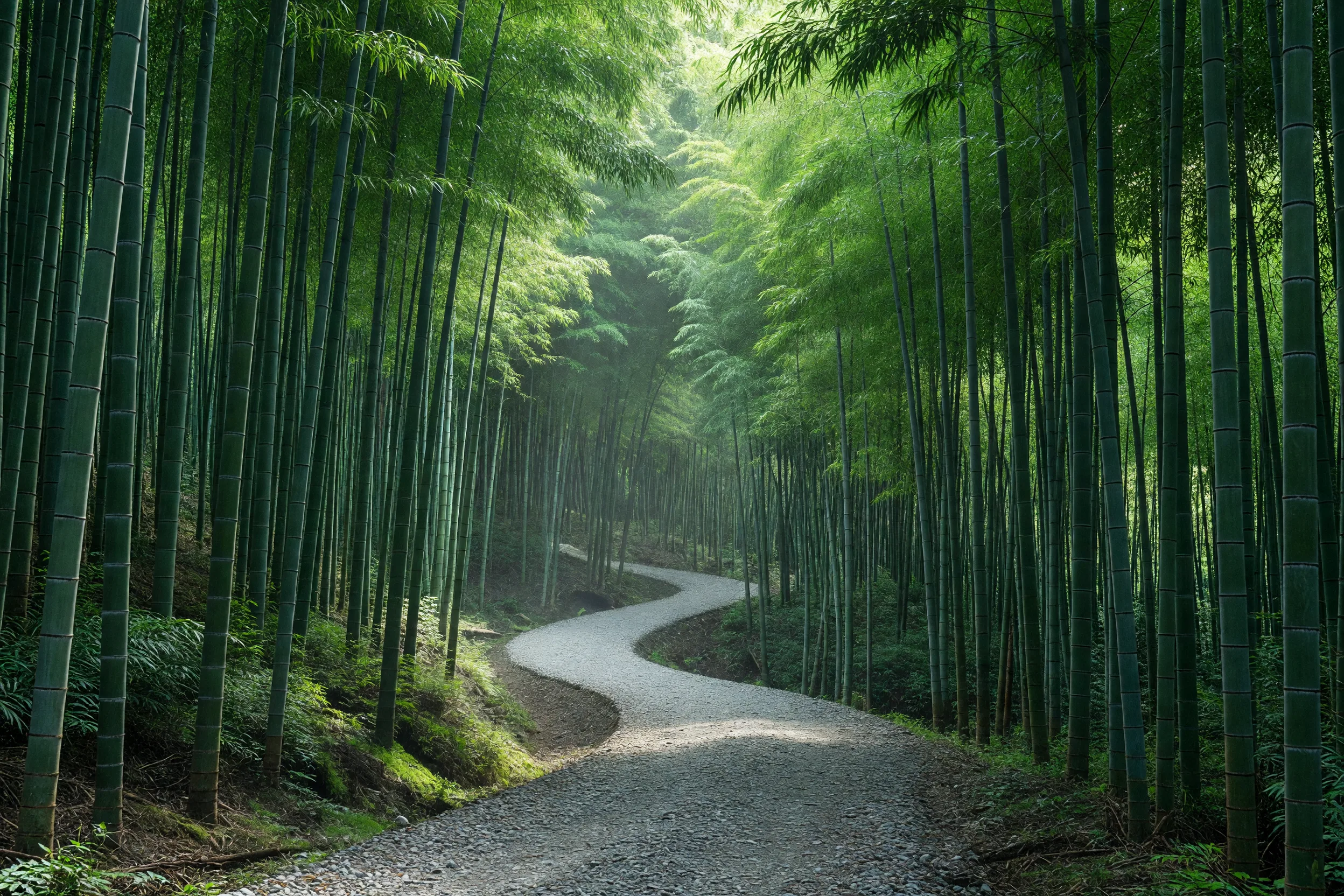 曲がりくねる竹林の小道