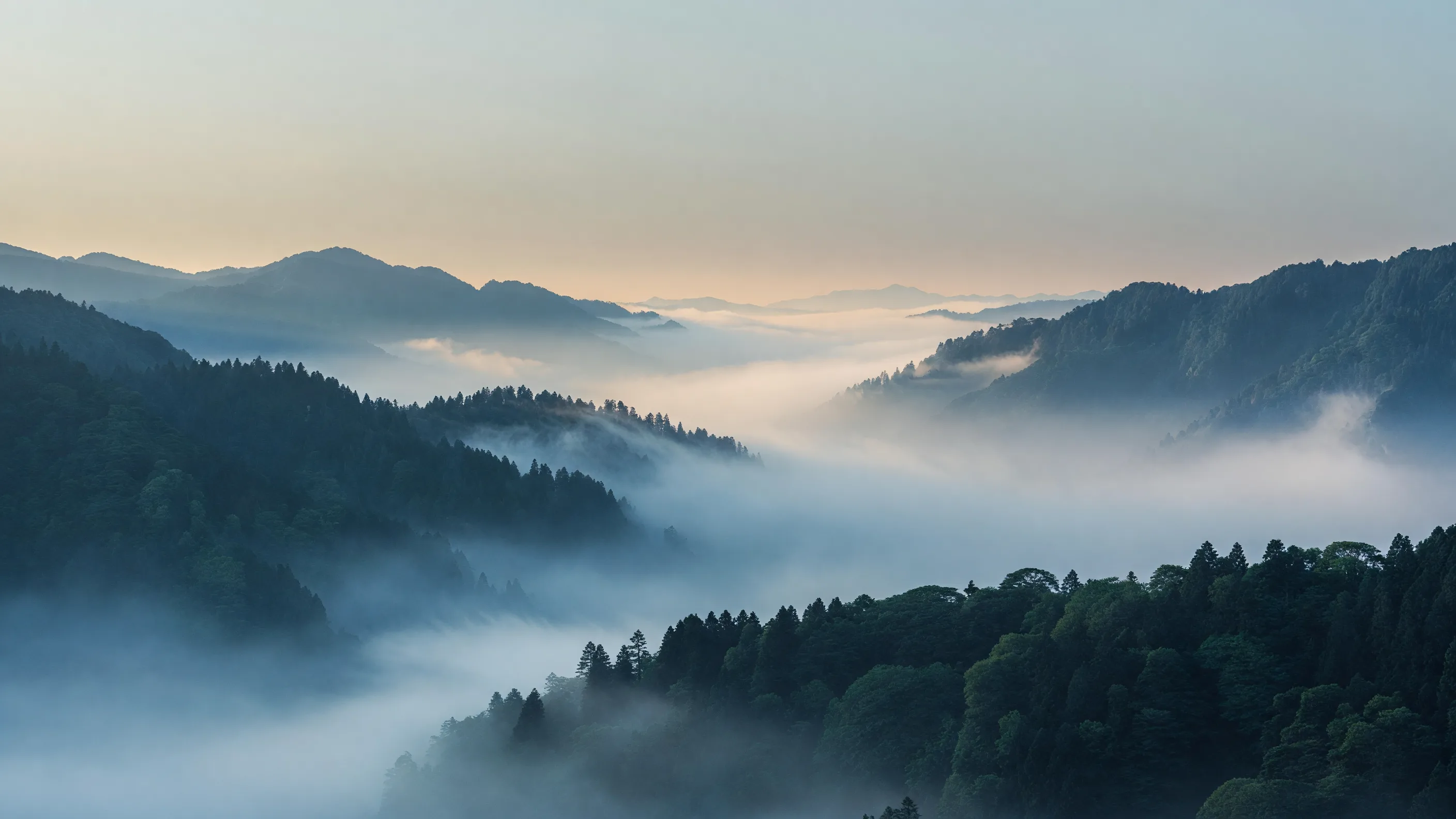 四季を通じて連なる霧の山並み