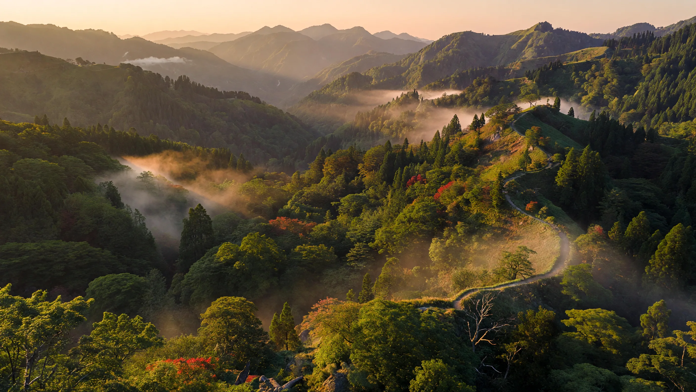 谷を挟んで連なる尾根道の風景