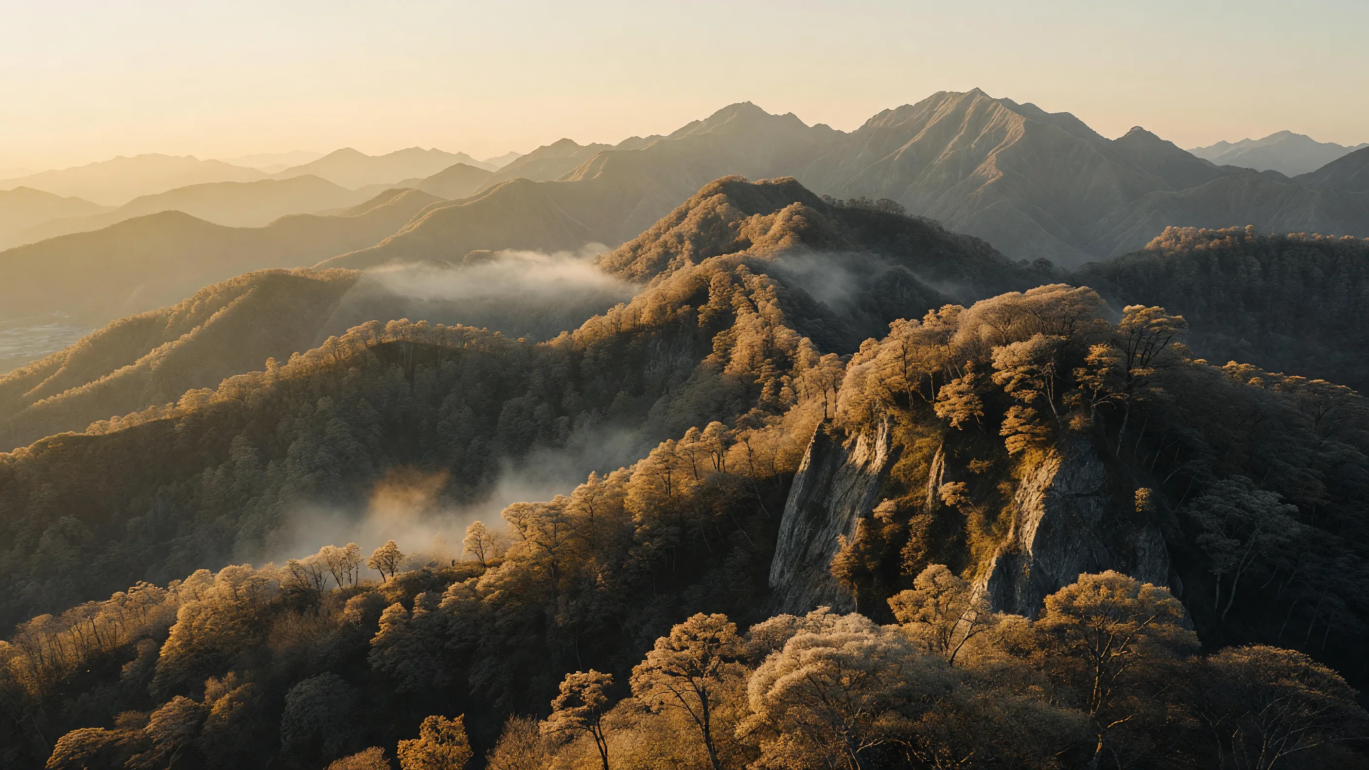 黄金色に染まる夕暮れの尾根